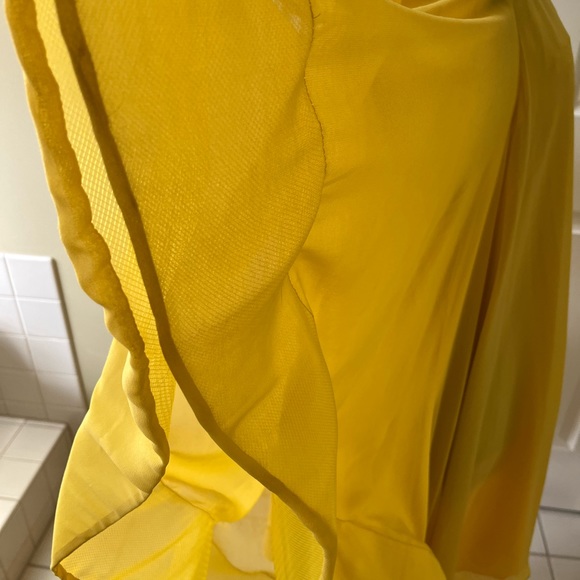 Beautiful Chiffon Dress or Top - Picture 5 of 8